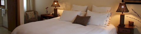 Arcadia Bed And Breakfast - Coogee Beach Accommodation 2