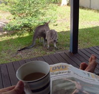 Bush and Bay Cottage - Coogee Beach Accommodation