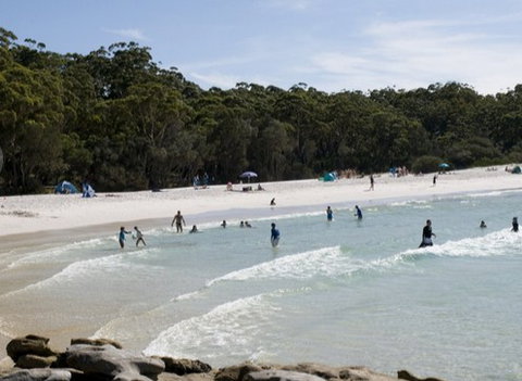 Booderee National Park: Green Patch Camping Area - Coogee Beach Accommodation 2