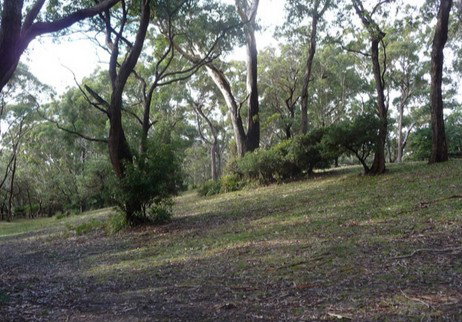 Booderee National Park: Green Patch Camping Area - Coogee Beach Accommodation 3
