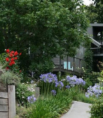Cloudsong In Kangaroo Valley - Coogee Beach Accommodation 0