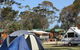 BIG4 Moruya Heads Easts At Dolphin Beach Holiday Park - thumb 0