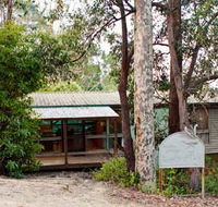 Lyrebird Dell - Coogee Beach Accommodation
