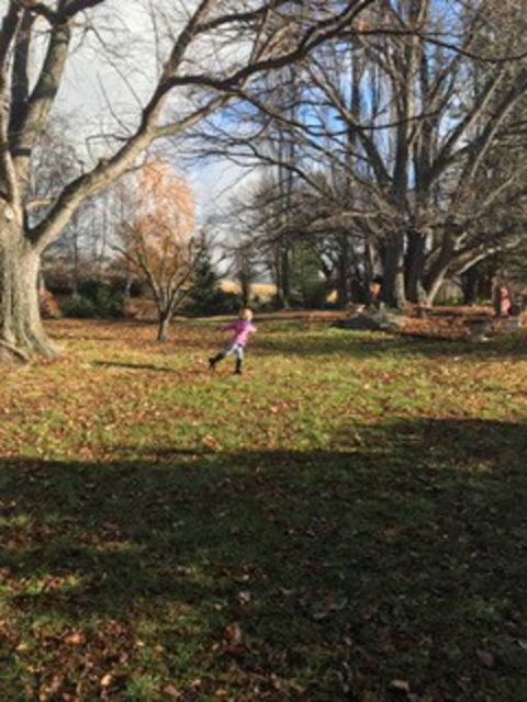 Glenelm Guest Cottage - Coogee Beach Accommodation 2