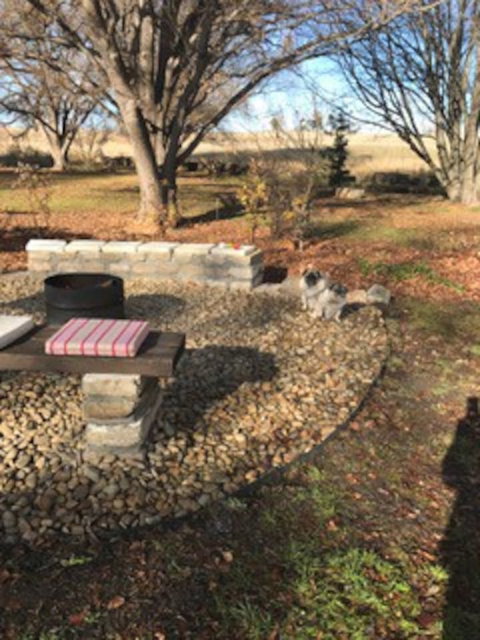 Glenelm Guest Cottage - Coogee Beach Accommodation 9