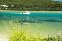 Wooli Camping and Caravan Park - Coogee Beach Accommodation