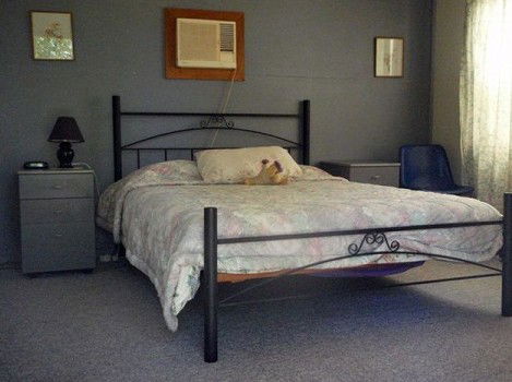 Comeroo Camel Station - Coogee Beach Accommodation 0