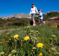 Horizons Apartment 407 - Coogee Beach Accommodation