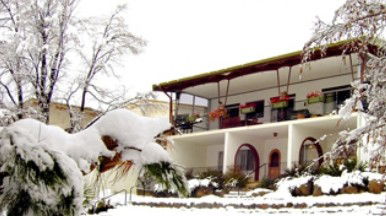 Sages Haus Bed And Breakfast - Coogee Beach Accommodation 1