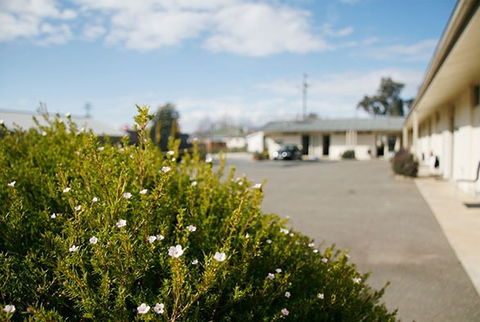 Merivale Motel Tumut - Coogee Beach Accommodation 1