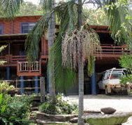 Bass Lodge - Coogee Beach Accommodation