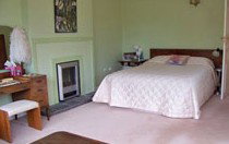 Chelsea Park - Coogee Beach Accommodation 3