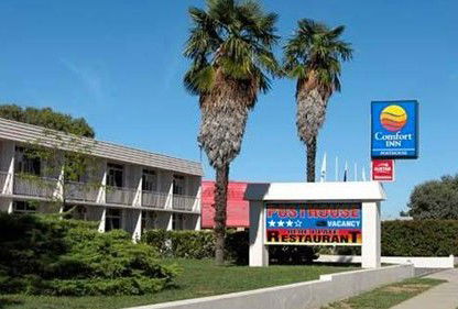 Comfort Inn Posthouse - Coogee Beach Accommodation 0