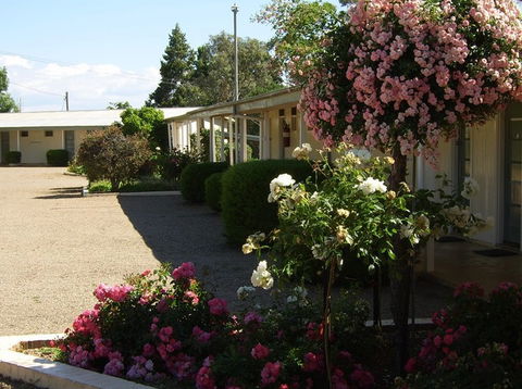 Garden Motor Inn - Coogee Beach Accommodation 0
