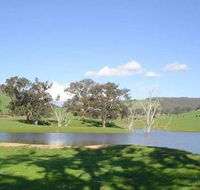Hillview Farmstay - Coogee Beach Accommodation