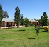 Narrandera Caravan Park - Coogee Beach Accommodation