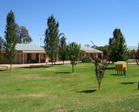 Narrandera Caravan Park - Coogee Beach Accommodation 0