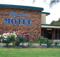 Fig Tree Motel - Coogee Beach Accommodation