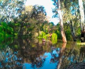 Wanganella Creek Camp Park - Coogee Beach Accommodation 1
