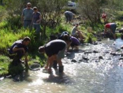 Bullock Mountain Homestead - Coogee Beach Accommodation 1