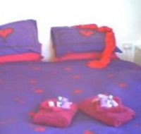 Aloomba Lavender - Accommodation - Coogee Beach Accommodation