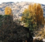 Birches Bed and Breakfast at Nundle - Coogee Beach Accommodation