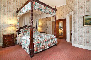 The Old George And Dragon Guesthouse - Coogee Beach Accommodation 0