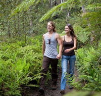 Blackheath Glen Tourist Park - Coogee Beach Accommodation