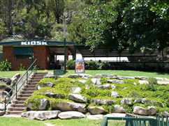 Carinya Ski Ranch - Coogee Beach Accommodation 4