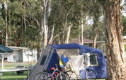 BIG4 Lake Macquarie - Monterey Tourist Park - Coogee Beach Accommodation 5