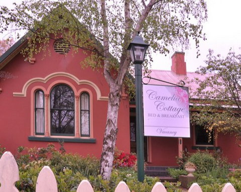 Camelia Cottage - Coogee Beach Accommodation 3
