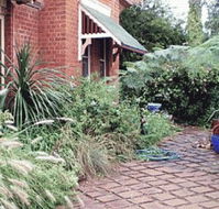 Carinya B and B - Coogee Beach Accommodation