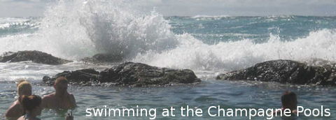 Fraser Island Fishing Units - Coogee Beach Accommodation 4
