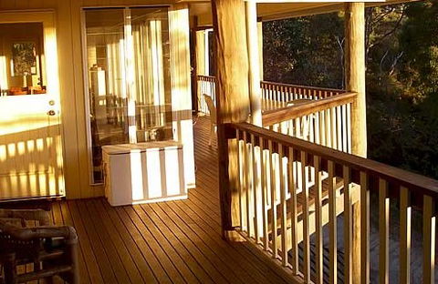 Orchid House - Coogee Beach Accommodation 3