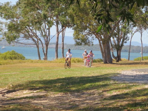 Kingfisher Caravan Park - Coogee Beach Accommodation 2