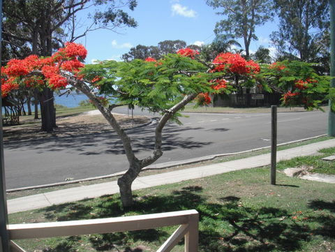 Kingfisher Caravan Park - Coogee Beach Accommodation 4