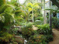 Chamomile Bed And Breakfast - Coogee Beach Accommodation 0