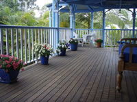 Chamomile Bed And Breakfast - Coogee Beach Accommodation 3