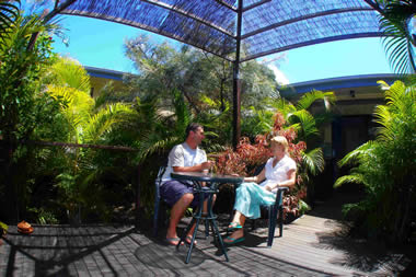 Sunbird Gardens - Coogee Beach Accommodation 3