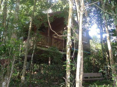 Adjinbilly Rainforest Retreat Cabins - Coogee Beach Accommodation 0