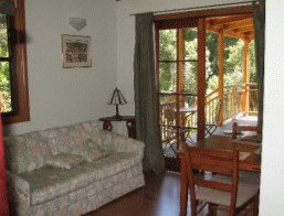 Arborlee Rainforest Retreat - Coogee Beach Accommodation 0
