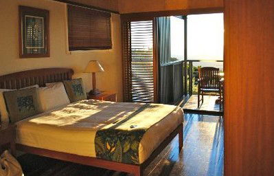 OReillys Rainforest Retreat - Coogee Beach Accommodation 2
