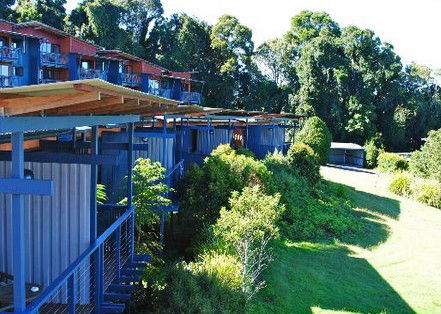 OReillys Rainforest Retreat - Coogee Beach Accommodation 3