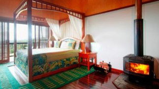 OReillys Rainforest Retreat - Coogee Beach Accommodation 6