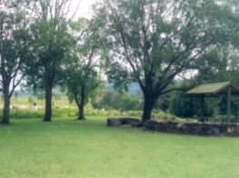 Sharp Park River Bend Country Bush Camping - Coogee Beach Accommodation 1