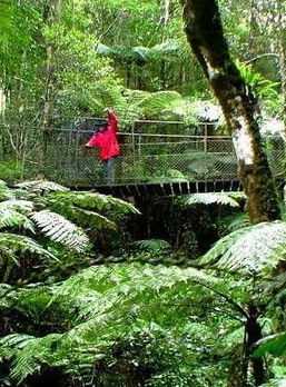 Katandra Mountain Farm House - Coogee Beach Accommodation 2