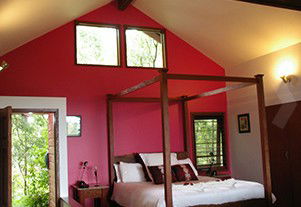 Mountain Edge Studios - Coogee Beach Accommodation 1