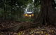 Whitewood Cottage - Bunya Mountains - thumb 5