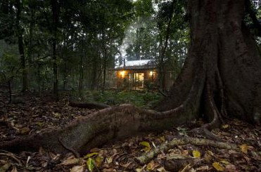 Whitewood Cottage - Bunya Mountains - Coogee Beach Accommodation 5
