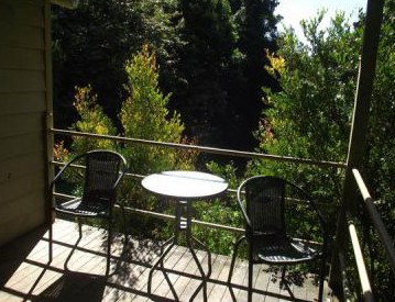 Fern Cottage - Holiday Home - Coogee Beach Accommodation 4